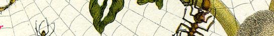 Graphics
